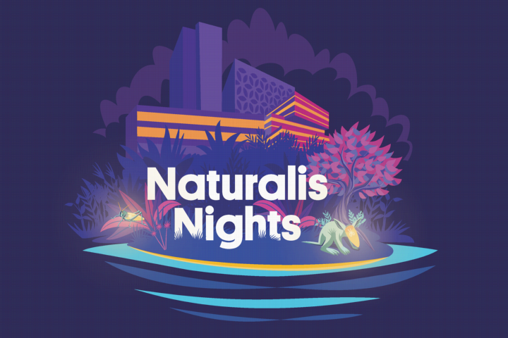 Naturalis Nights
