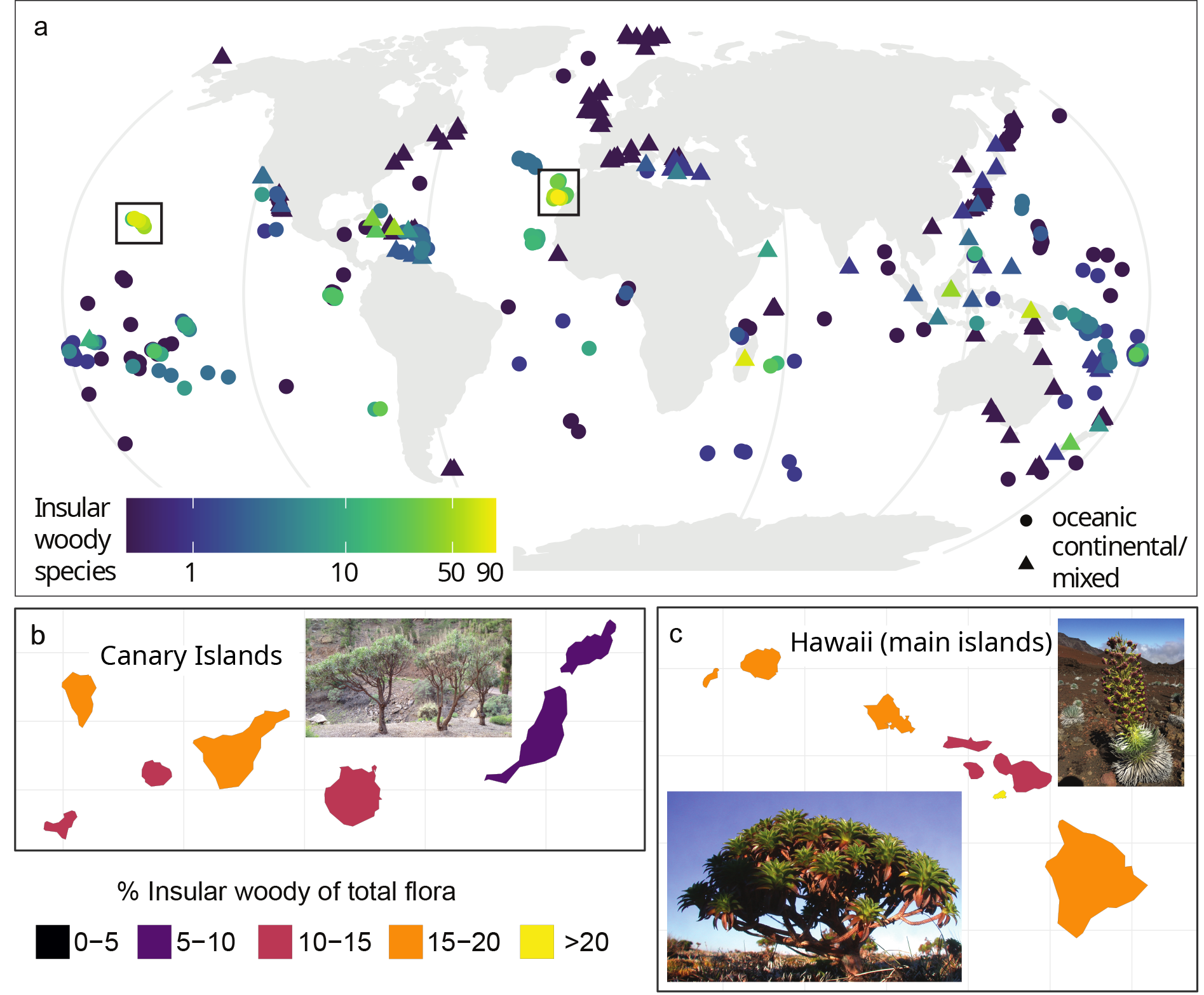 Fig.Figuur 2. De wereldwijde distributie van houtvorming op eilanden.