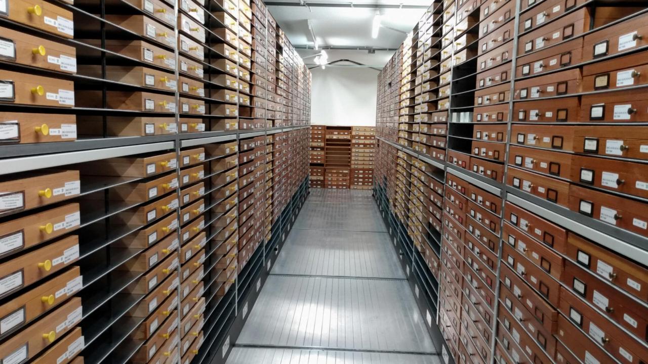 Hymenoptera collection depot, one of the many aisles