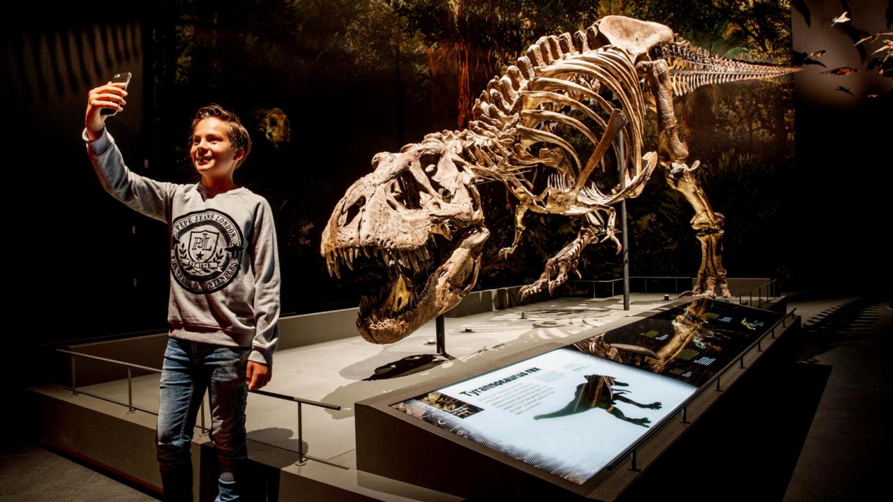 Boy takes selfie at T. rex Trix