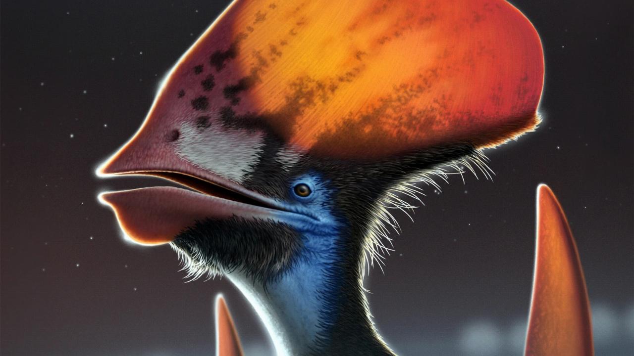 A colorful pterosaur