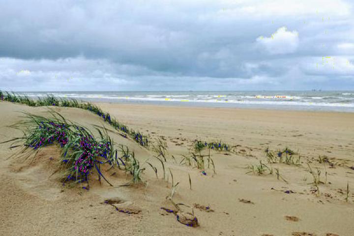 Sandy beach 