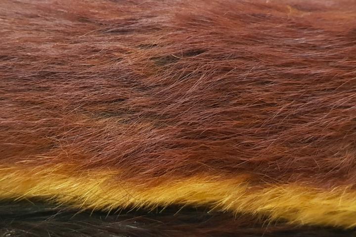 Tricolor fur