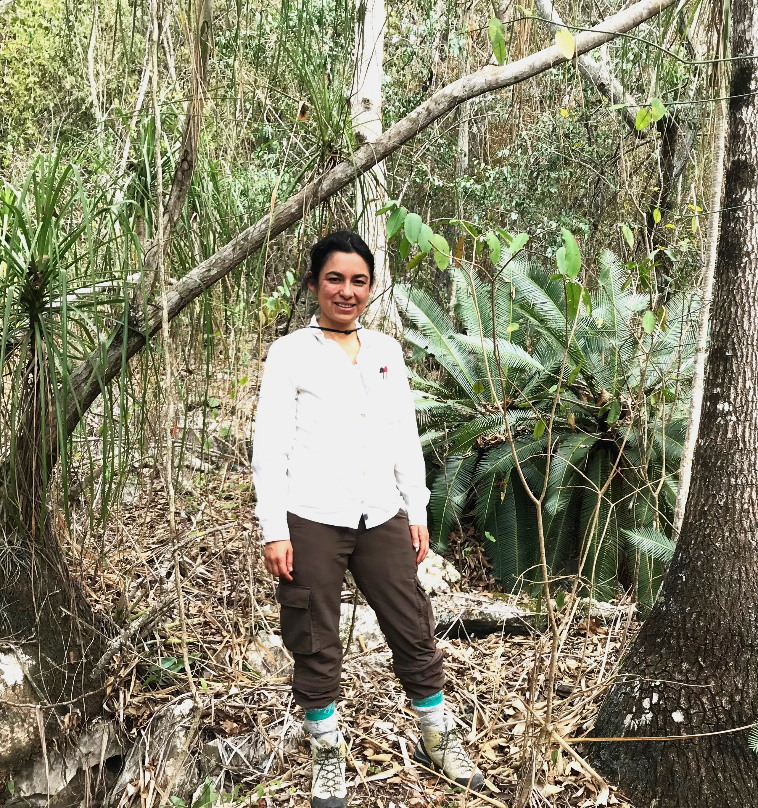 With Dioon thousand-yeard old plants in the wild