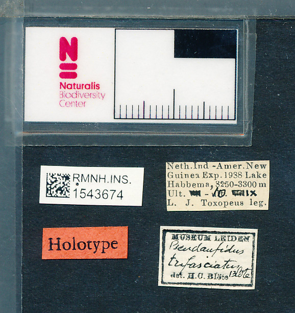 Een label bestemd voor een holotype