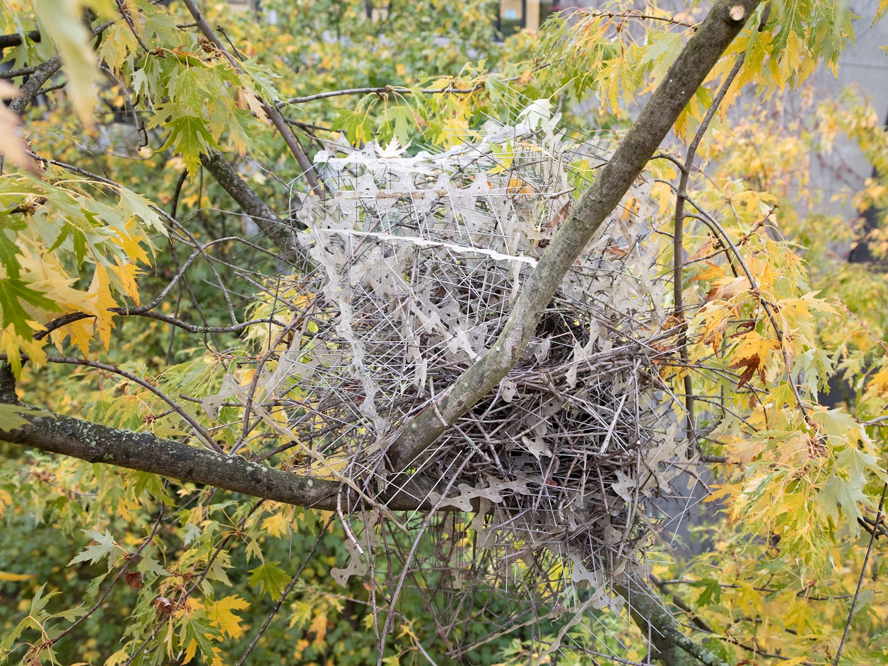 Metal bird nest