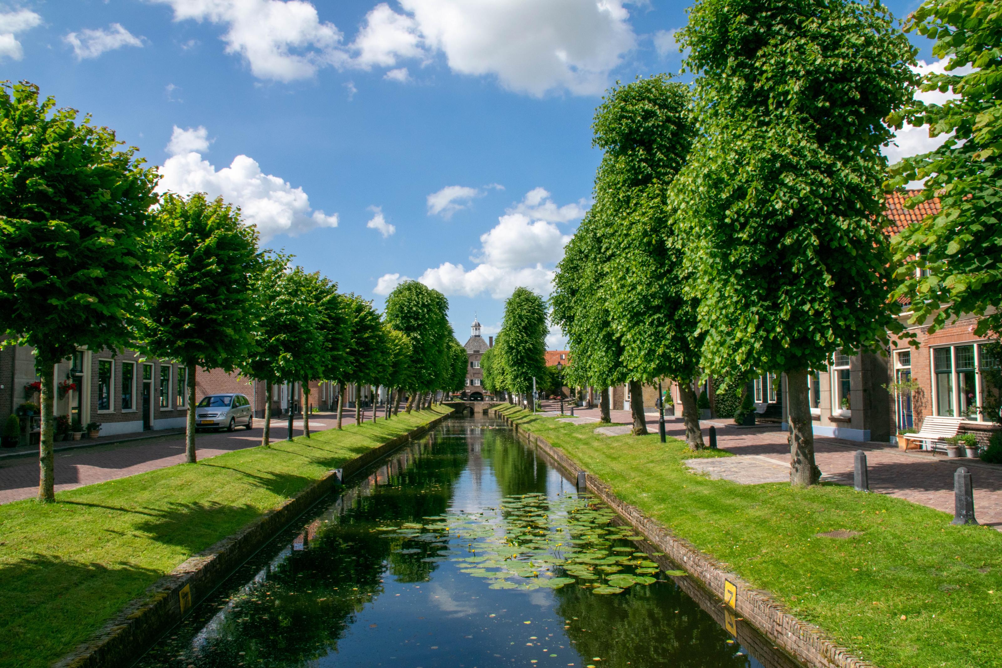 Stad met bomen