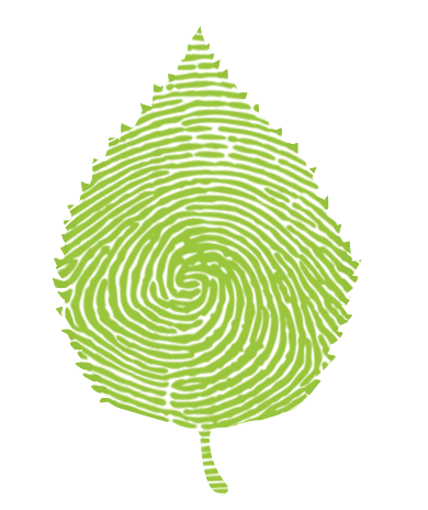 DISSCo leaf