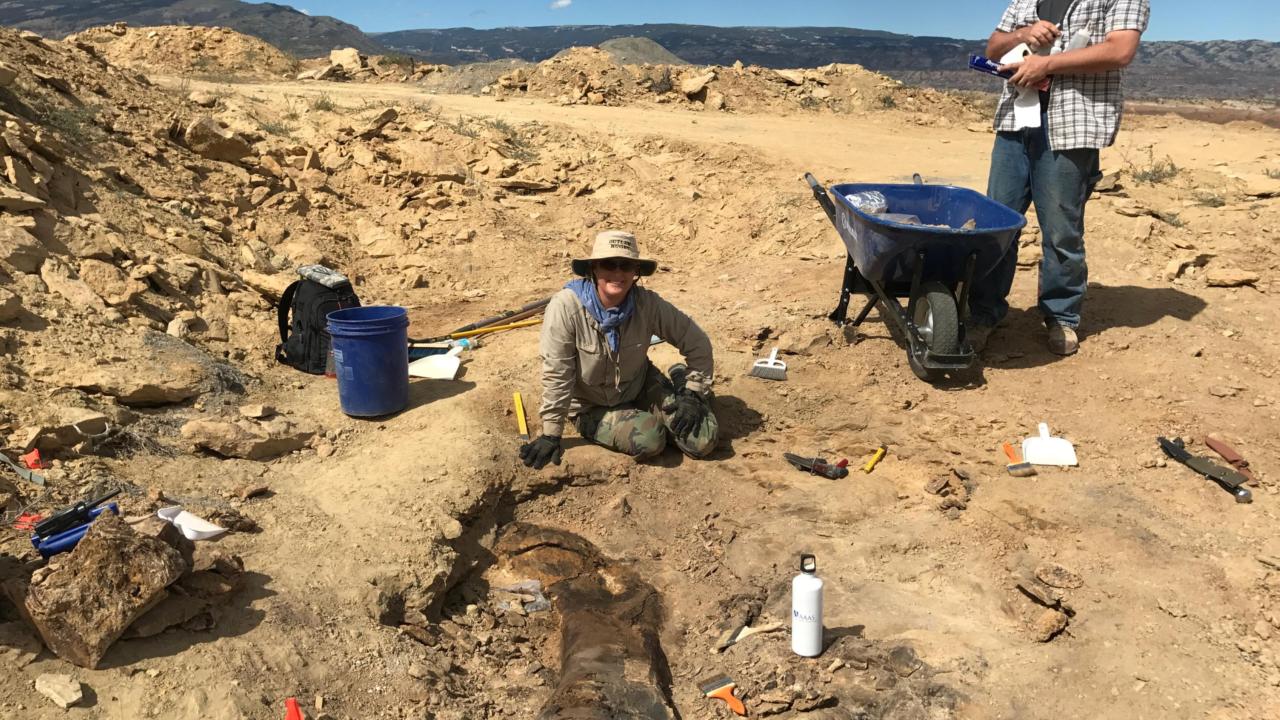 Fossielen bij de Jurassic Mile