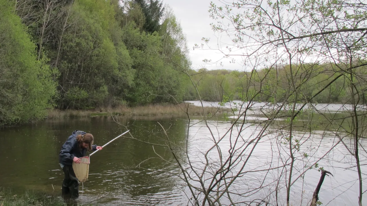 Fieldwork in Mayenne