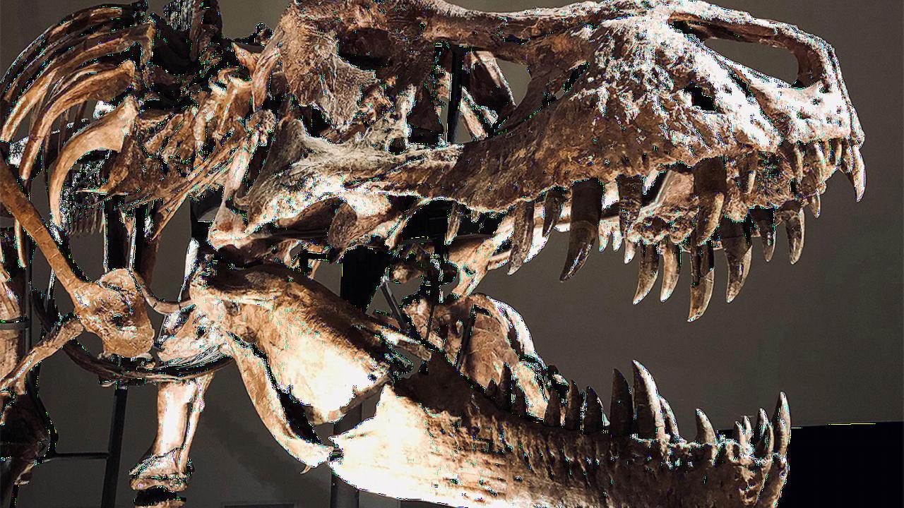 dinosaurus fossiele radiocarbon dating