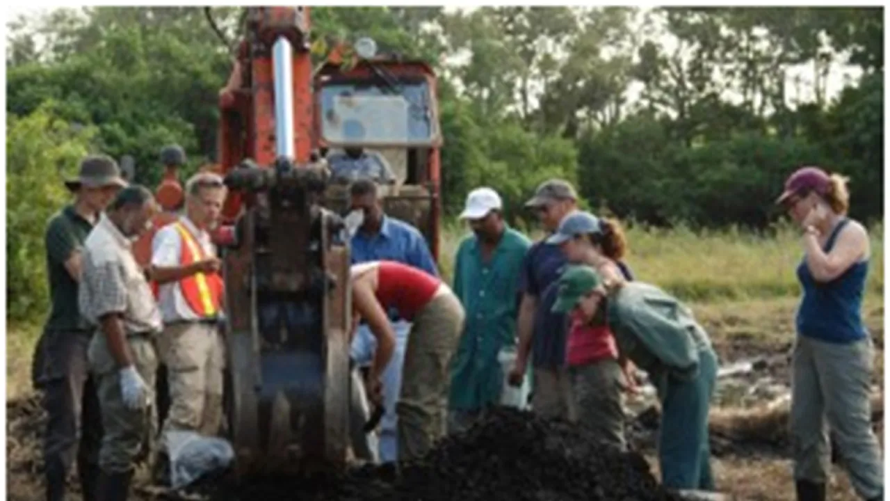 Het bemonsteren van de scoop