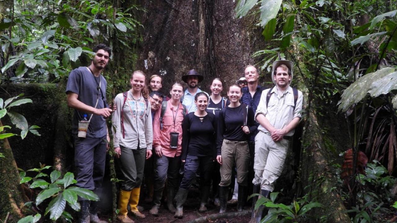 Researchers in rainforest