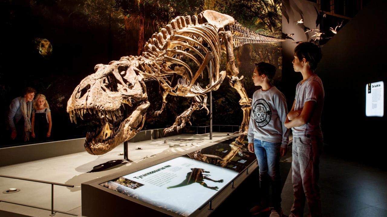 Dinotijd T. rex Trix