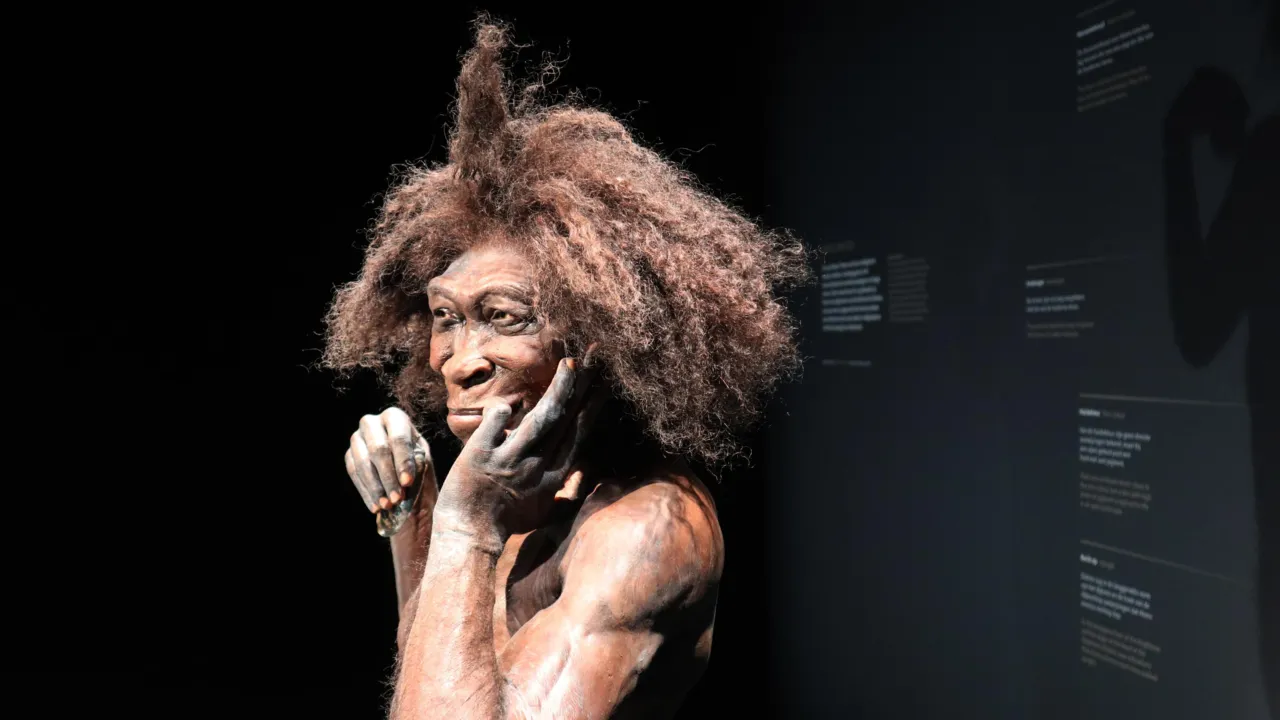 De vroege mens