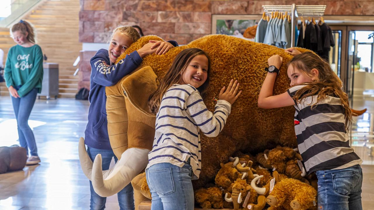 Shop woolly mammoth