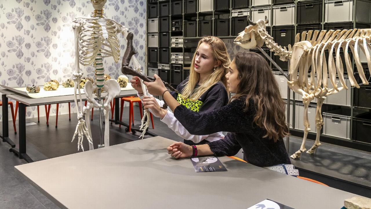 Students discover more about a skeleton