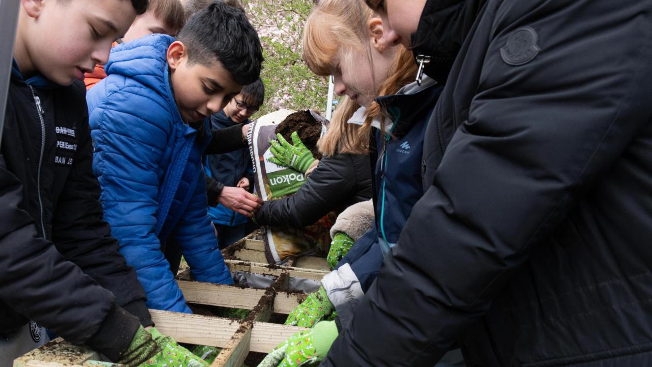 Kinderen verdelen grond