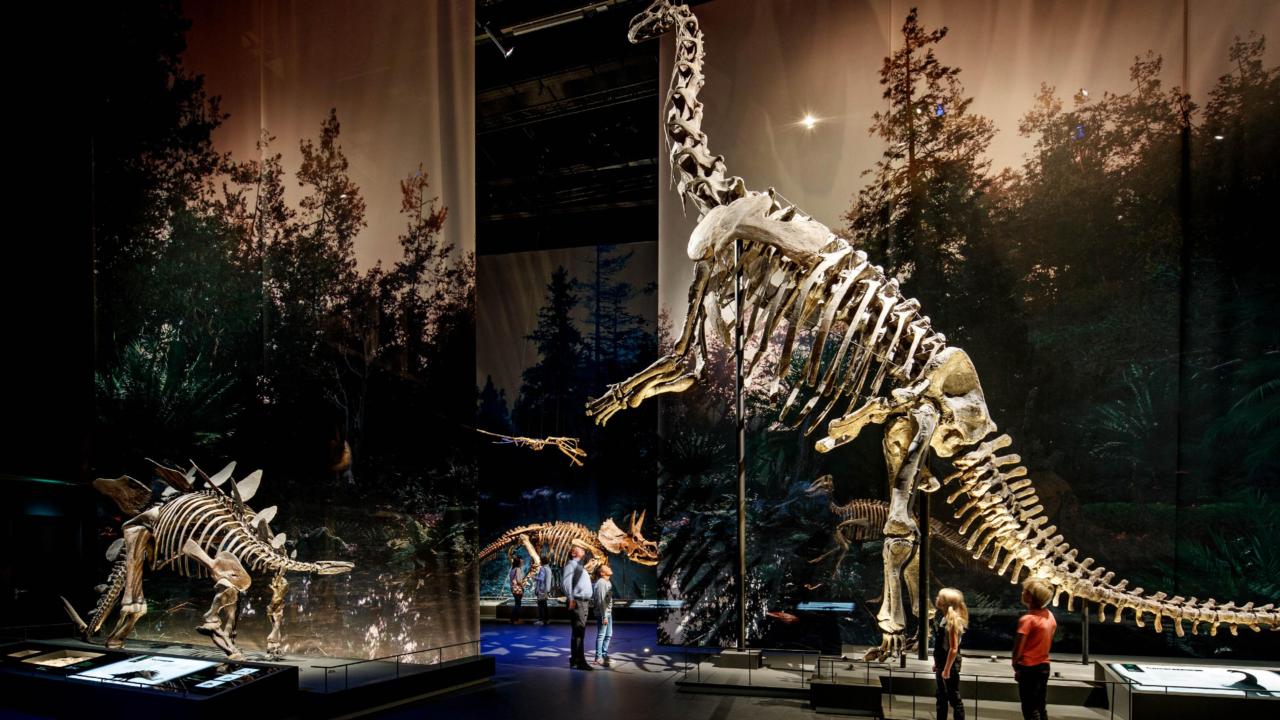 Naturalis best museum of Europe 2021 | Naturalis