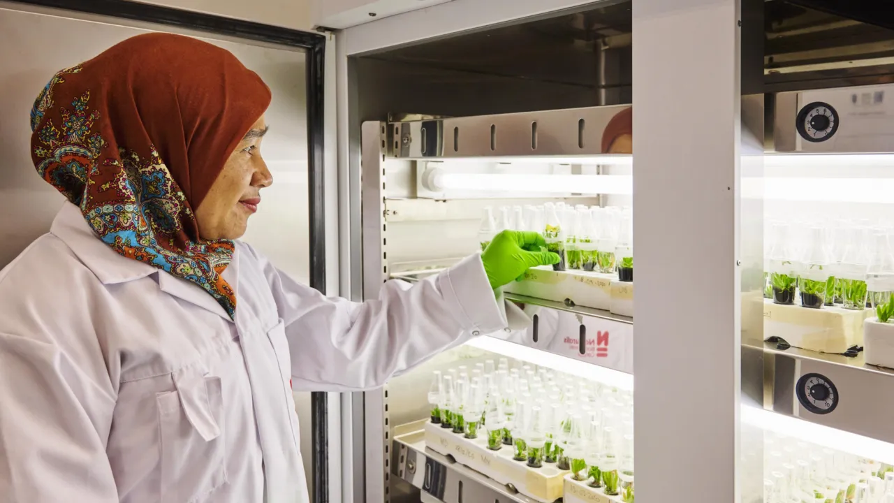 Lab Dewi Pramanik