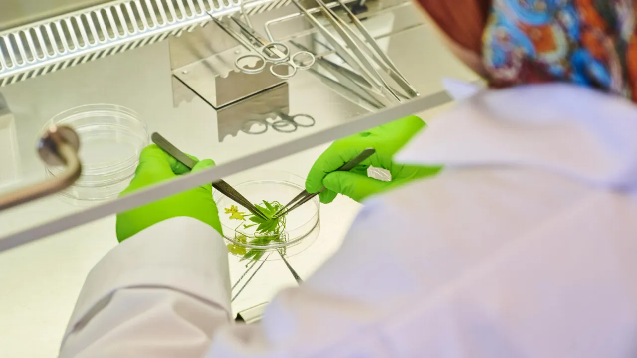 Labwork