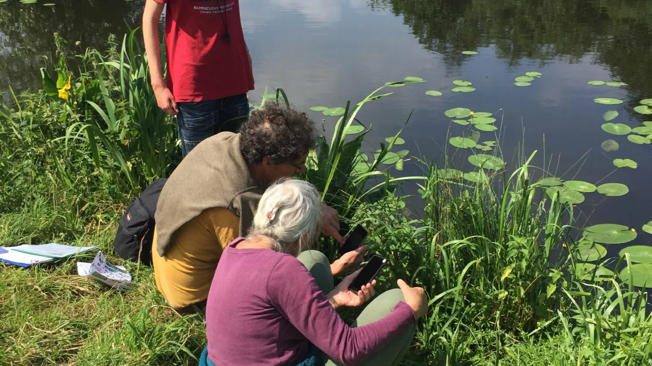 Workshop 'Oeverplanten'