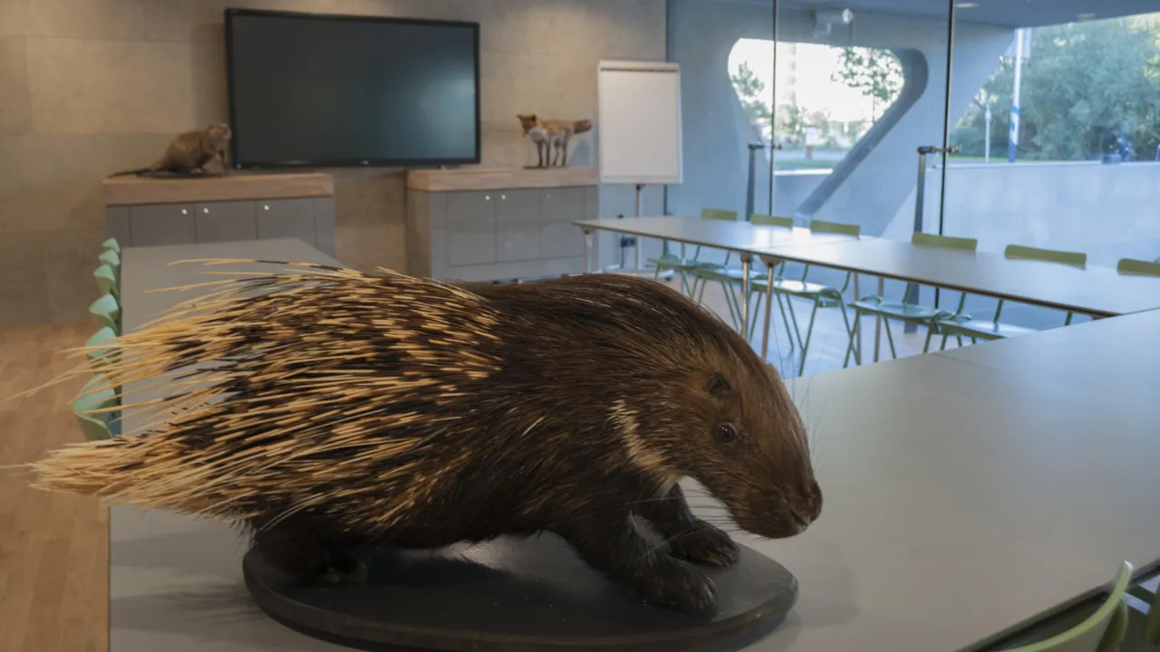 Naturalis Atelier