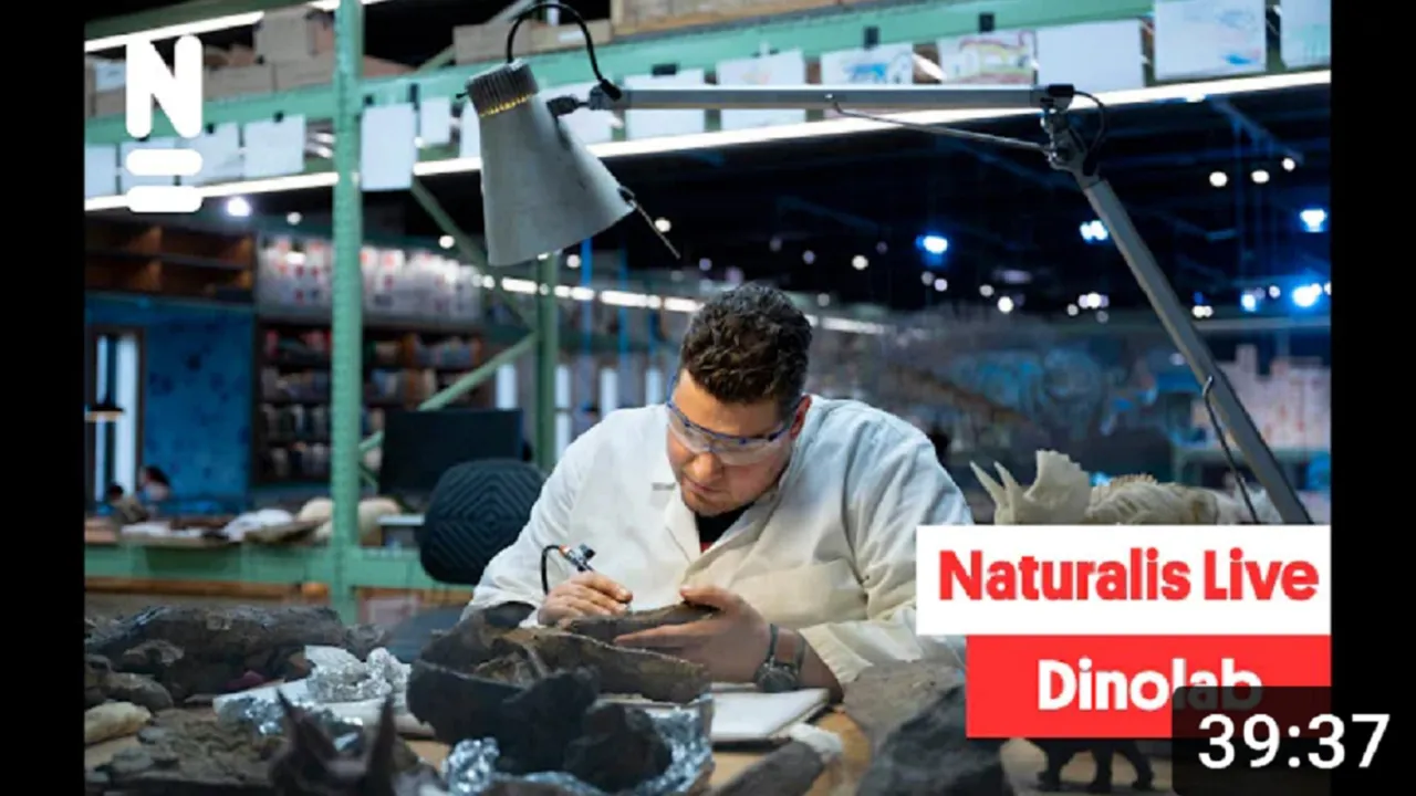 Naturalis Live: Dinolab