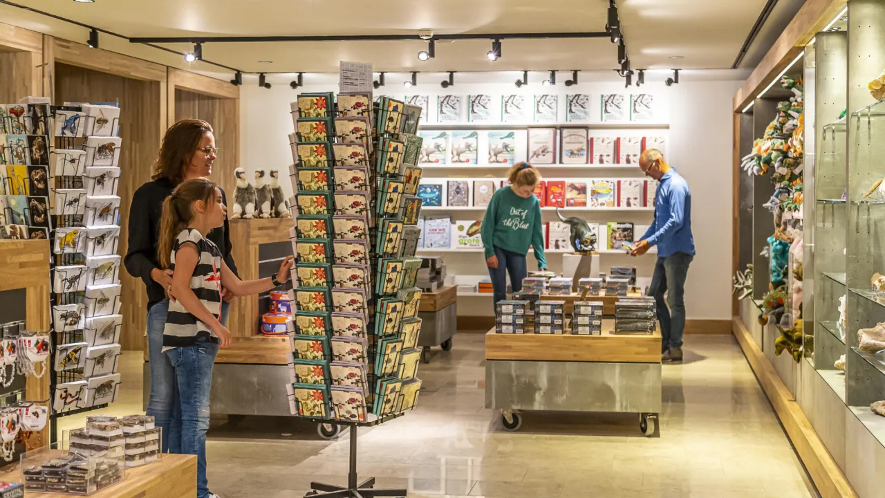 Museum store