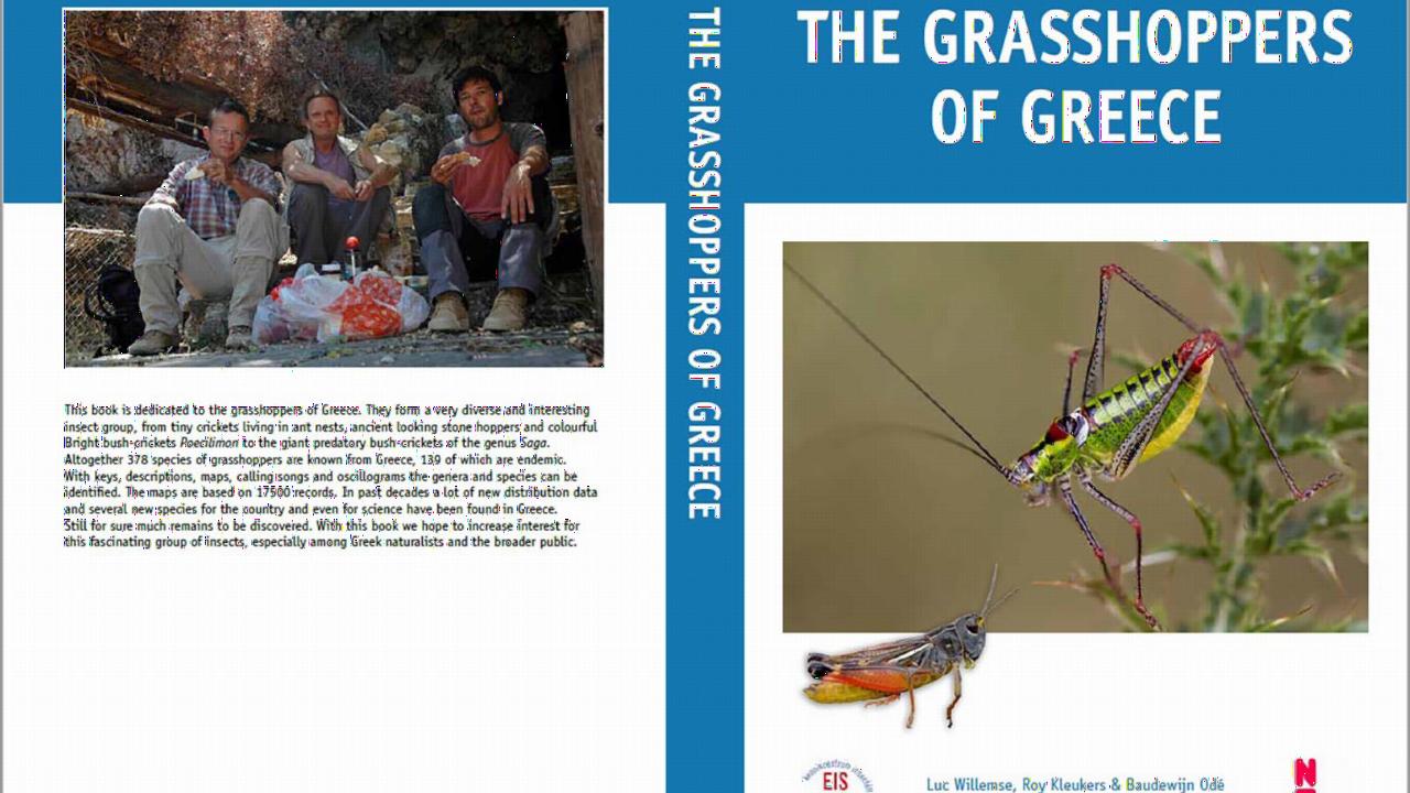 Cover Grasshoppers of Greece