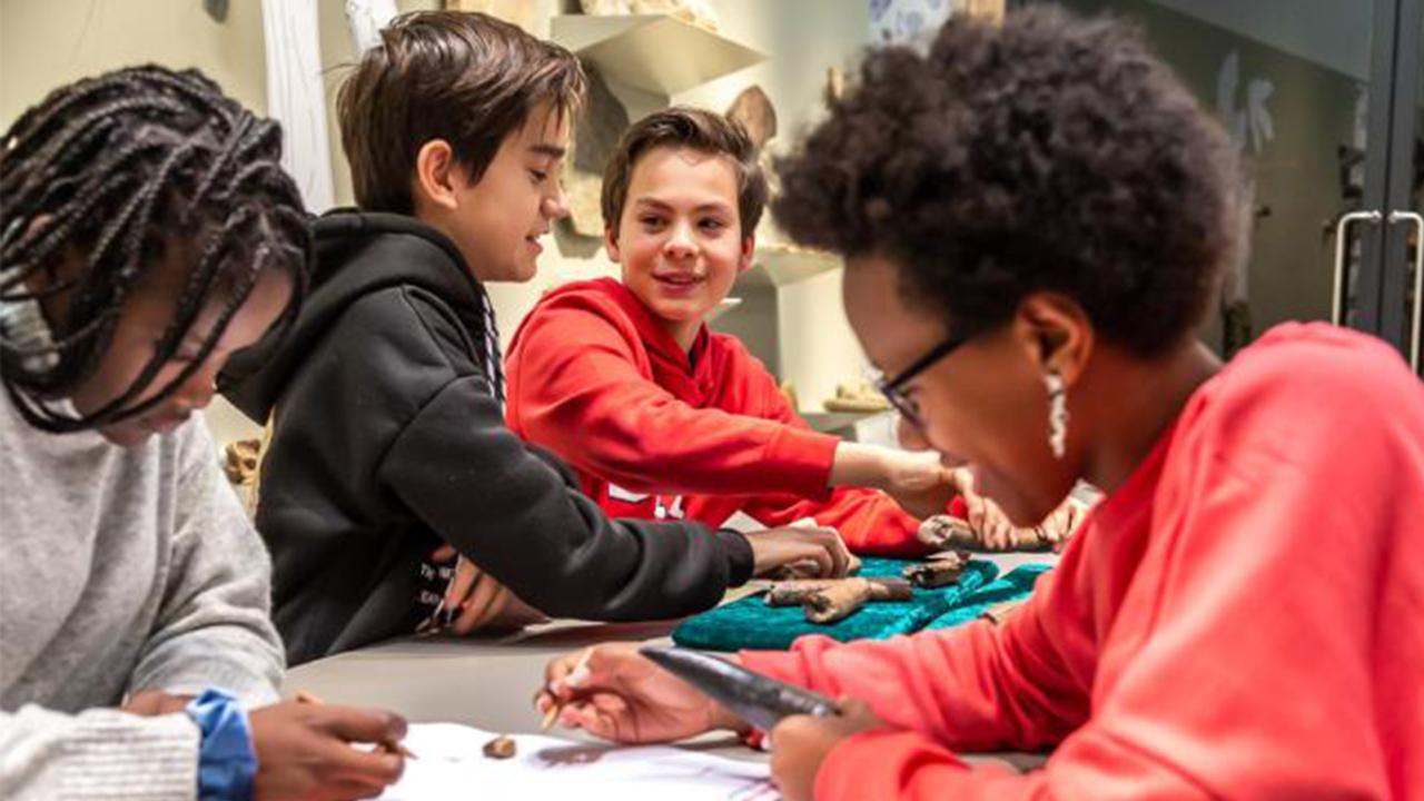 Kind onderzoekt fossielen