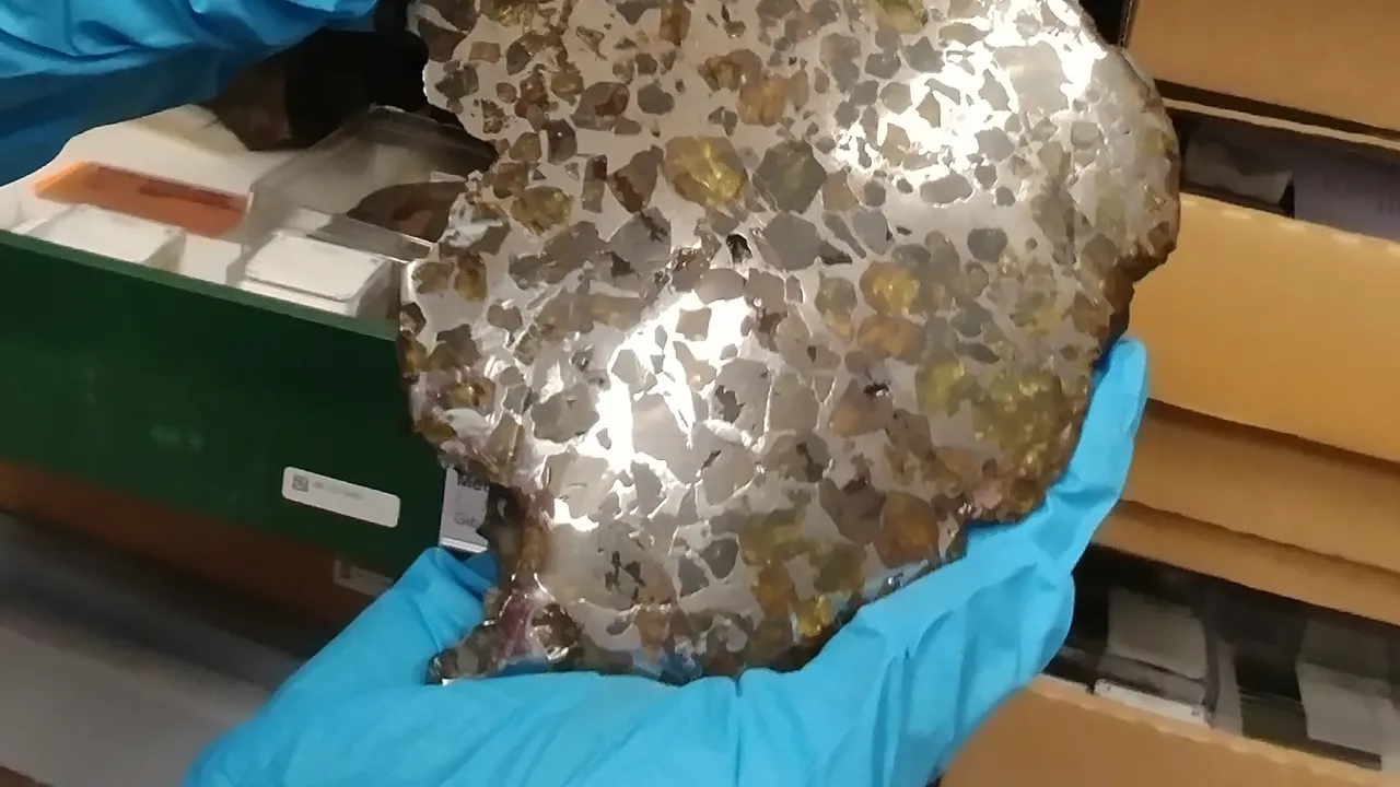 Pallasite meteorite