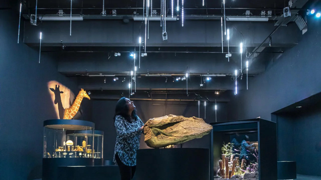 Visitor in the exhibition Evolution