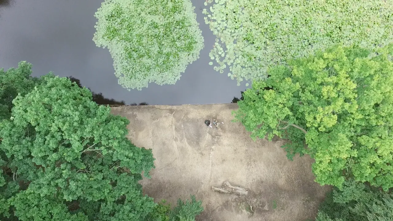 Bovenaanzicht van water en bos