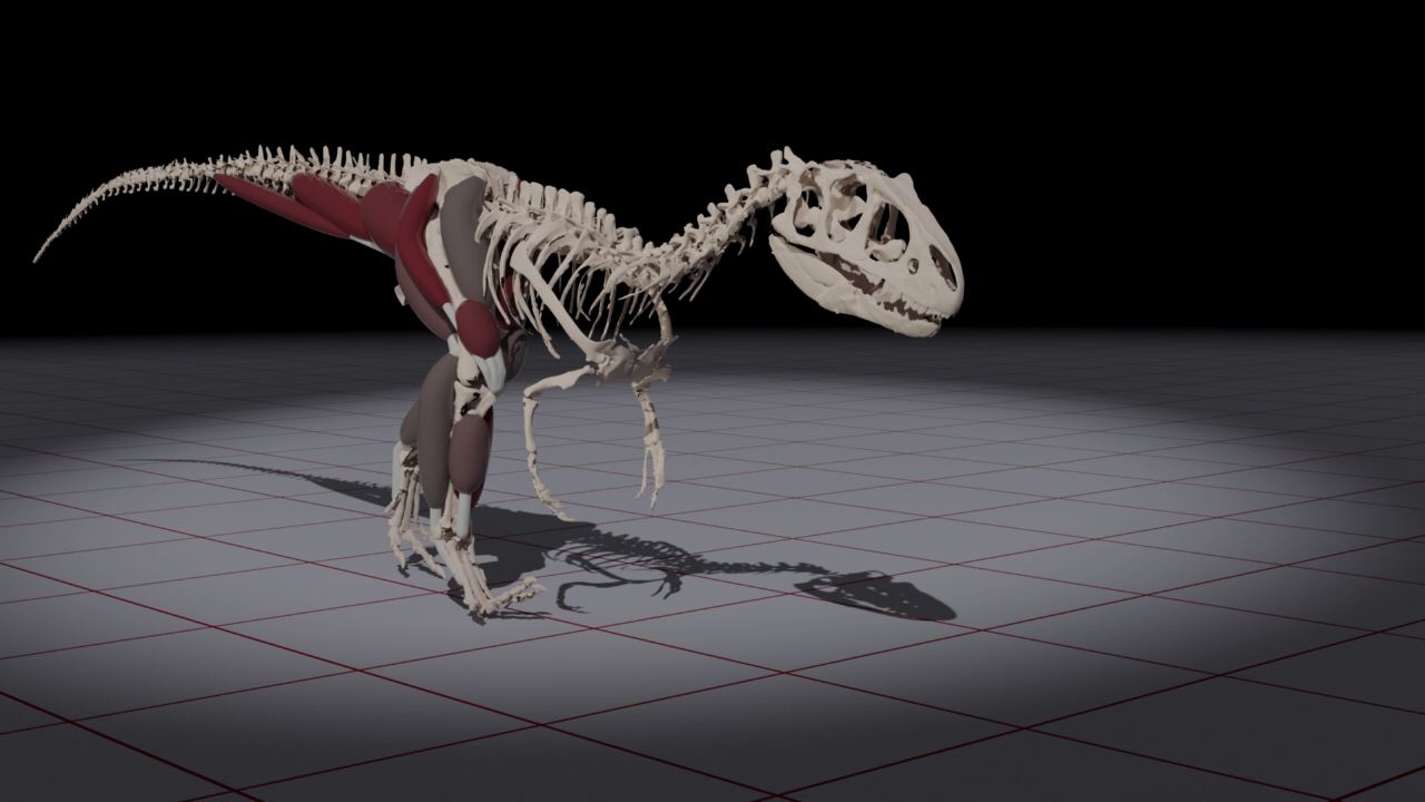 Simulation model of Allosaurus I made for the BBC