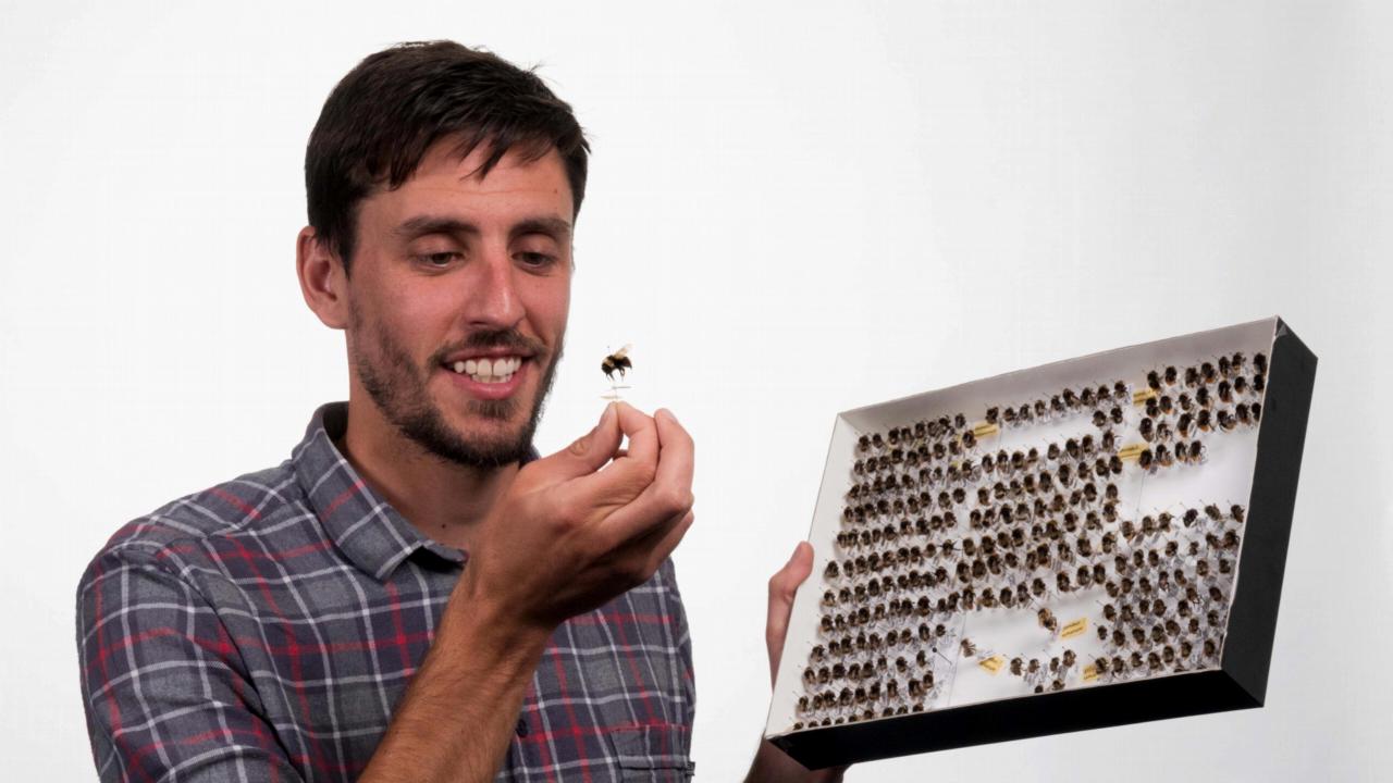 Leon Marshall with bees