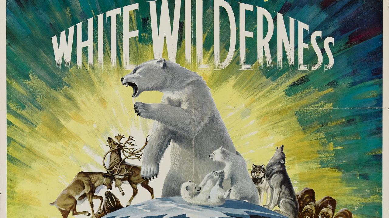 Filmposter Wild Wilderness, met woedende ijsberen