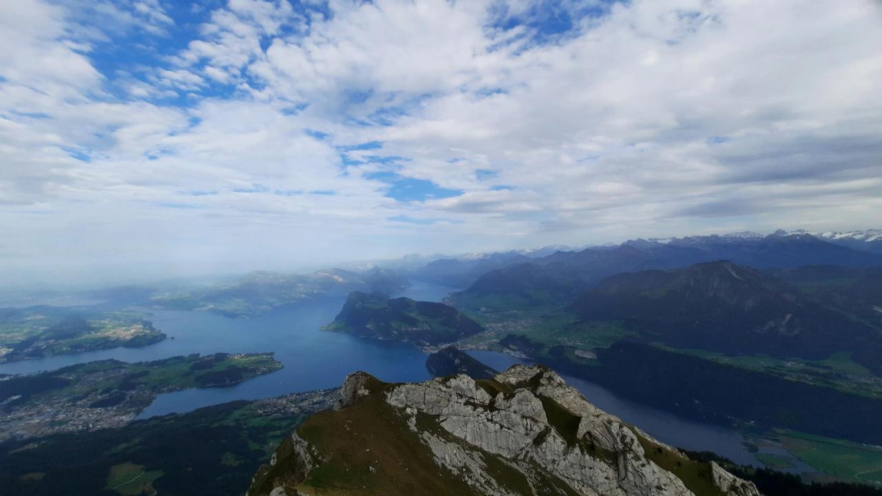 Vierwaldstaettersee (Lake Lucerne) is one of the deep and large perialpine lakes that hold several endemic fish species.