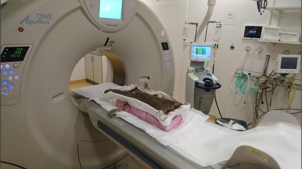 Een dinobot gaat de scanner in