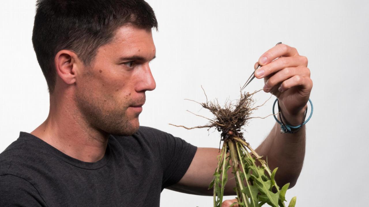 Vincent Merckx met een paardenbloem