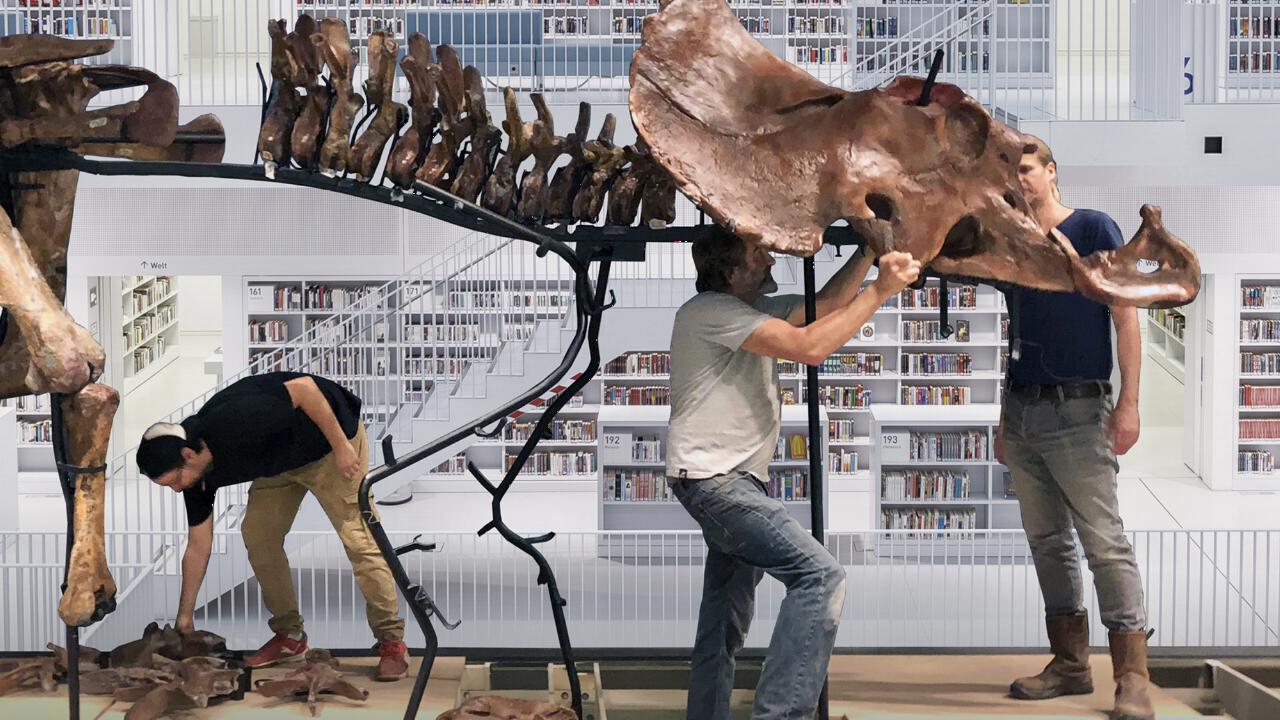 Opbouw Triceratops in een bibliotheek