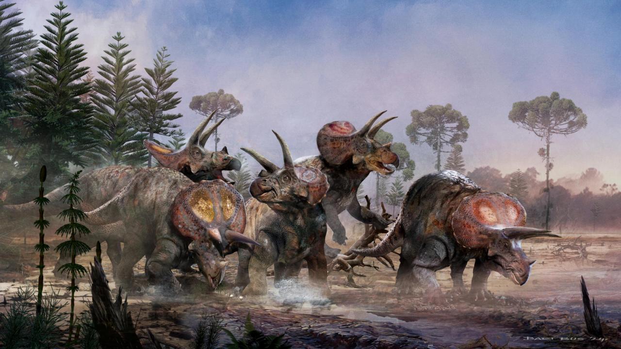 Dezelfde vijf triceratopsen, maar dan wat groter