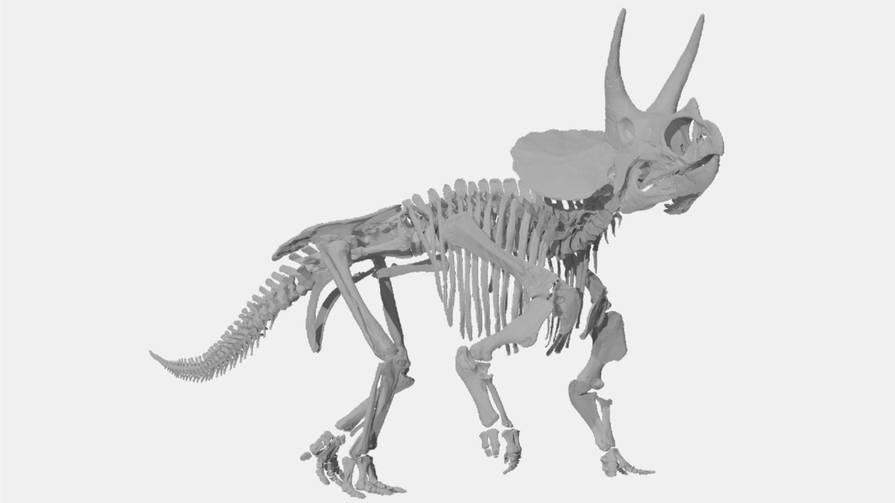 Voorblad "Bringing fossils back to life. New insights on the biology of the iconic dinosaur Triceratops"