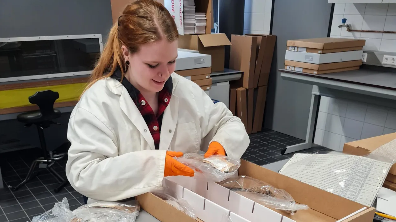storing Ice Age fossils 
