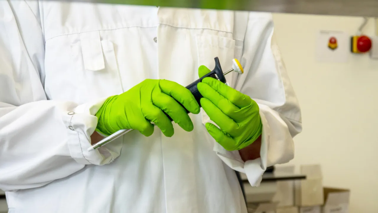 lab