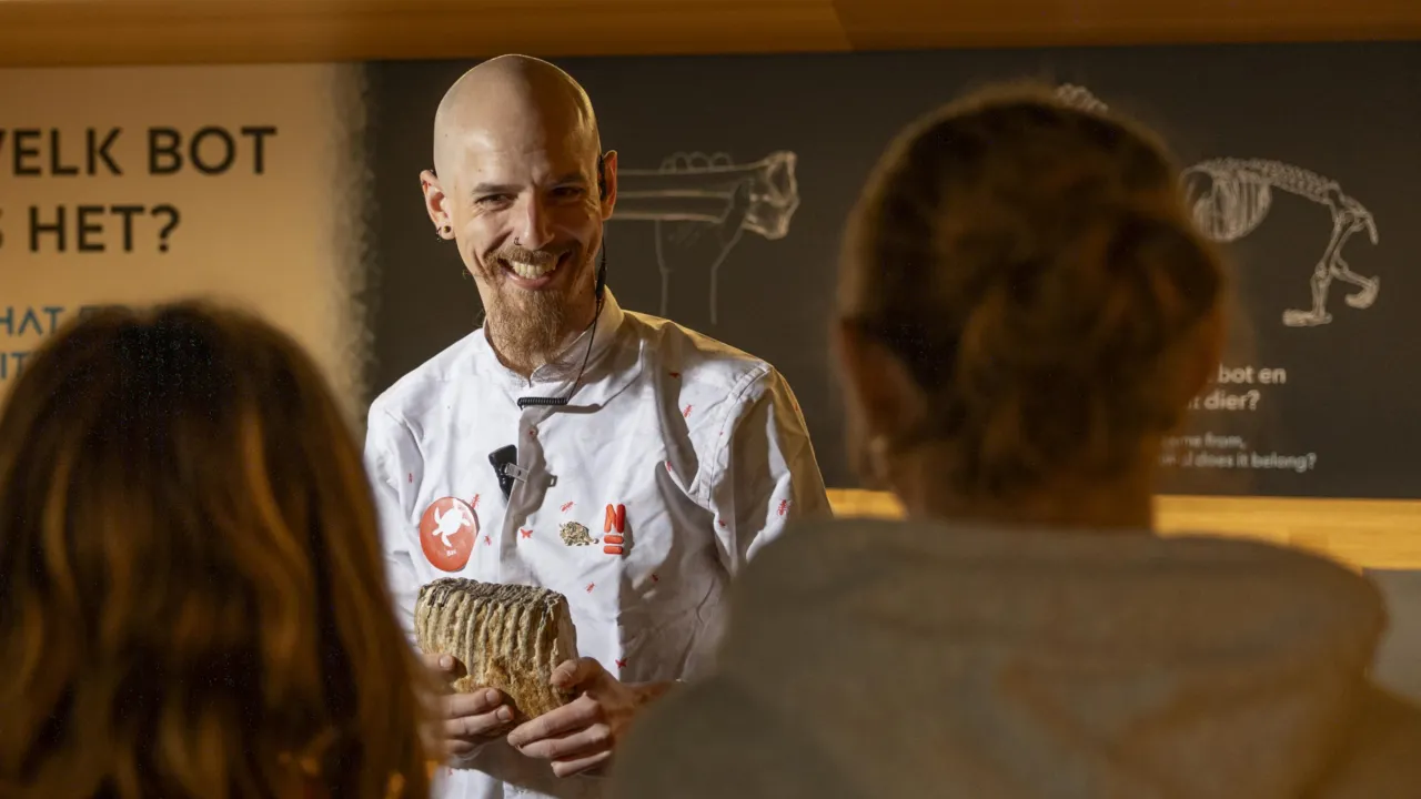 Bas Koblens educatie museum