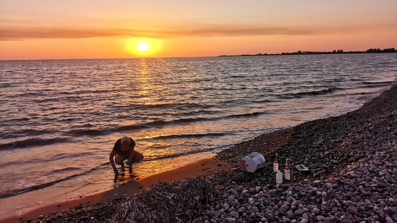 Sampling meiofauna on beach
