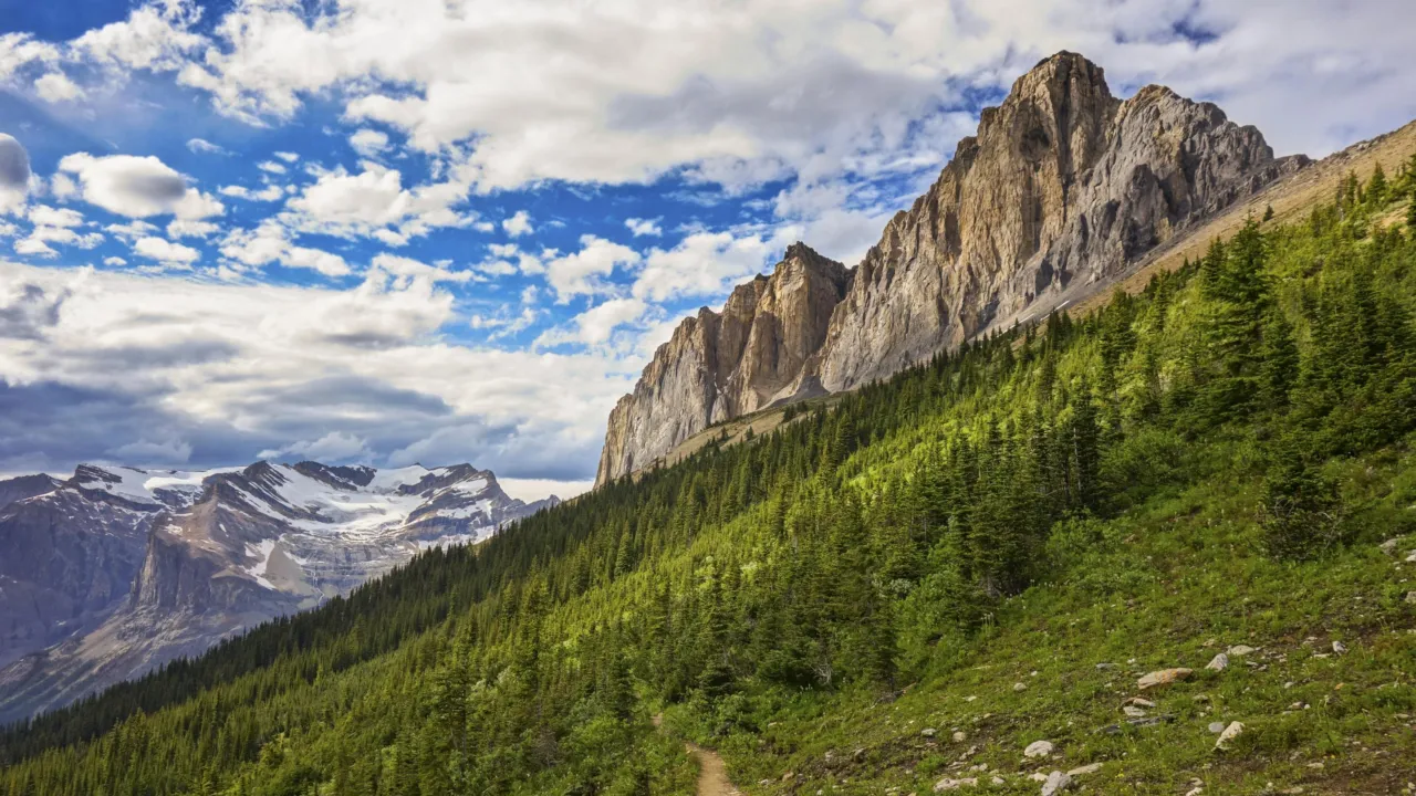 Burgess Shale