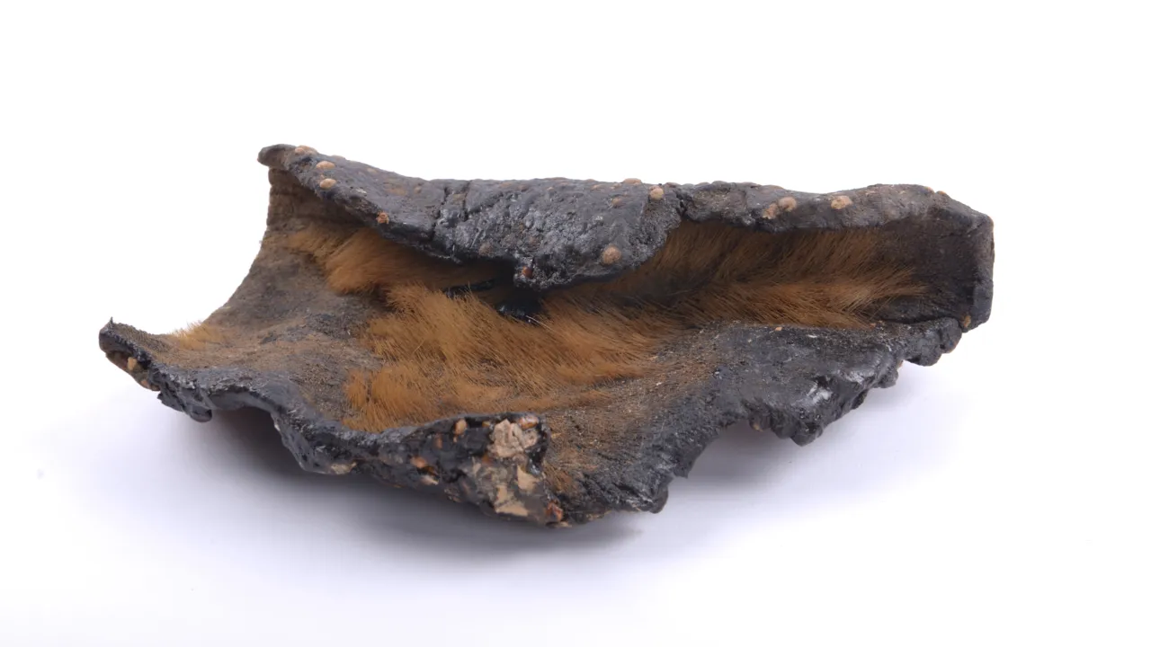 Kruimel fossil