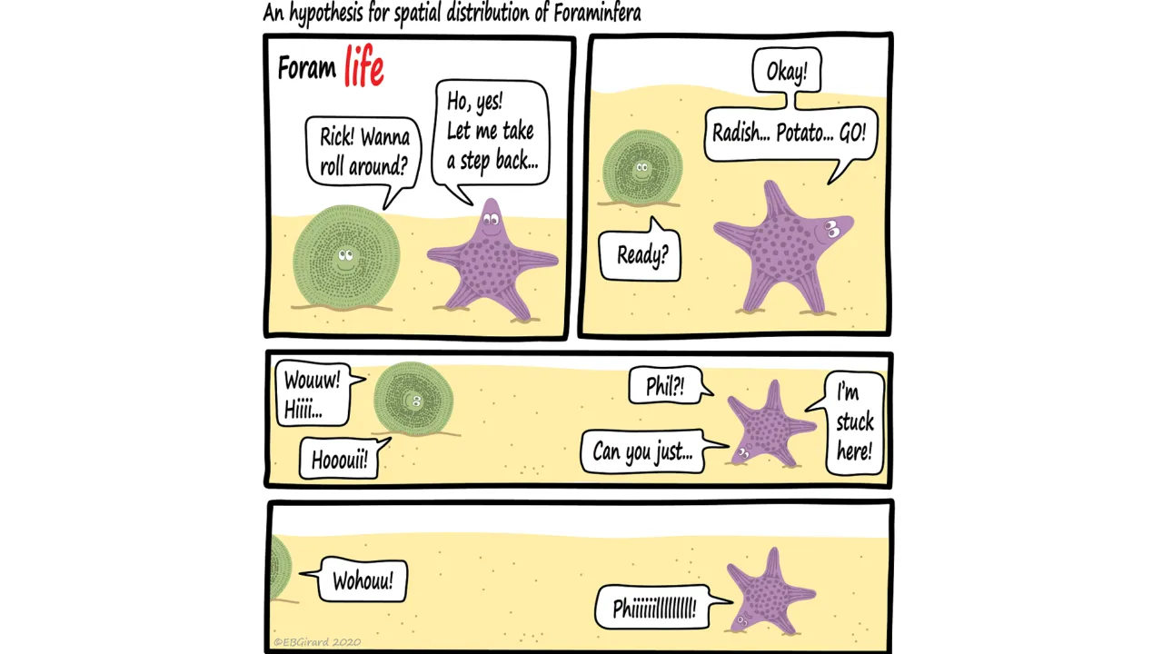 Foram Life